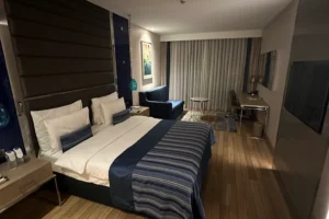 Yangına Dayanıklı Otel Kapıları (37)